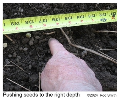 Planting seeds