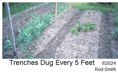 Trenched Raised Bed