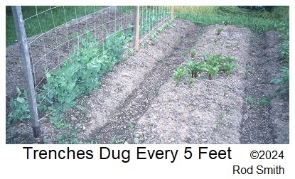 Trenched Raised Bed