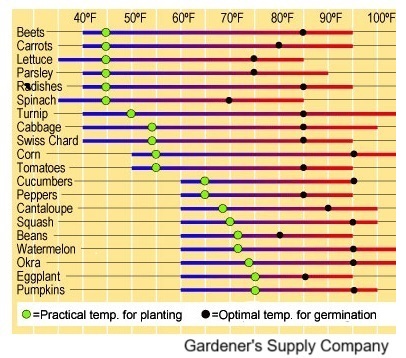 Seed Planting Temperature
