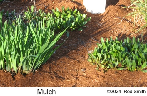 Mulch