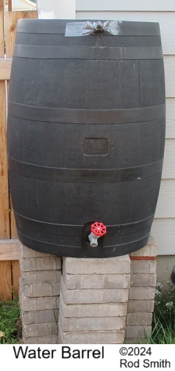 Rain Barrel