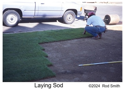 Laying Sod