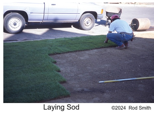 Laying Sod