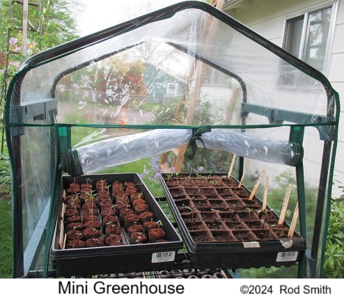 Mini Greenhouse