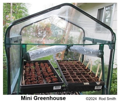 Mini Greenhouse