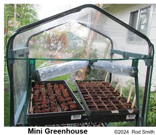 Mini Greenhouse