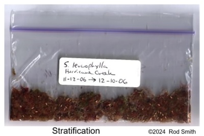 Stratification