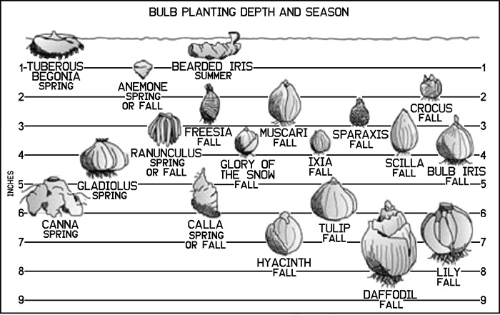 Bulb Planting Chart