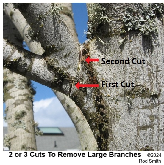 Three step branch cut