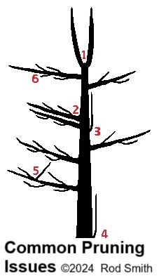 Tree structure