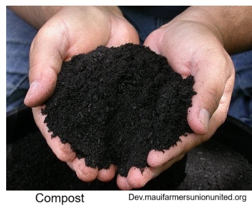 Compost improves aeration and drainage as well as adds nutrients.