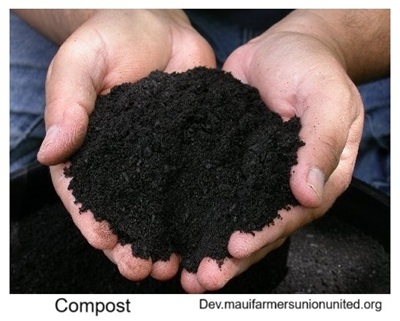 Compost improves aeration and drainage as well as adds nutrients.