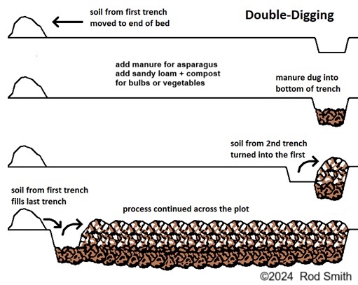 Double digging creates a deep layer of topsoil.