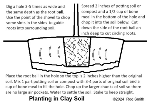 Planting