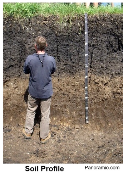 Different layers of soil