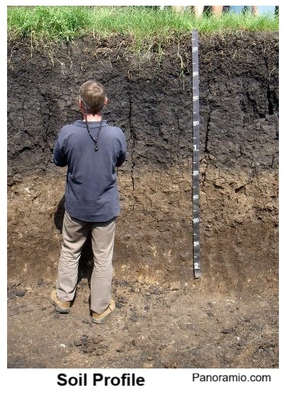 Different layers of soil