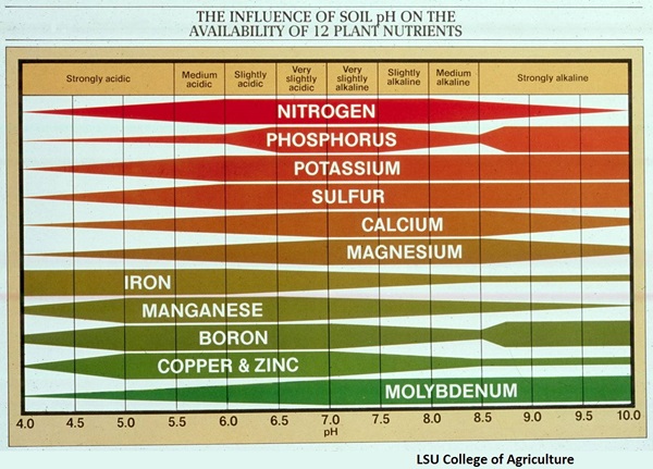 Availability of nutrients at different pH levels