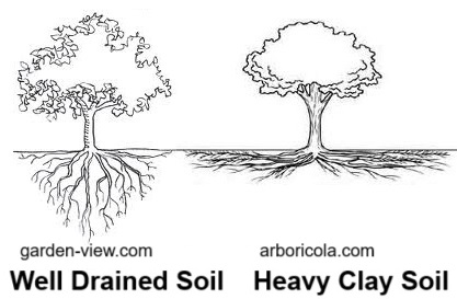 Roots grow deeper in well aerated soil