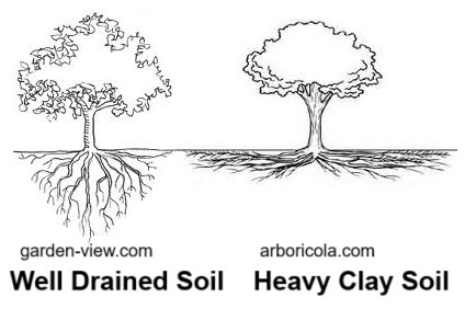 Roots grow deeper in well aerated soil