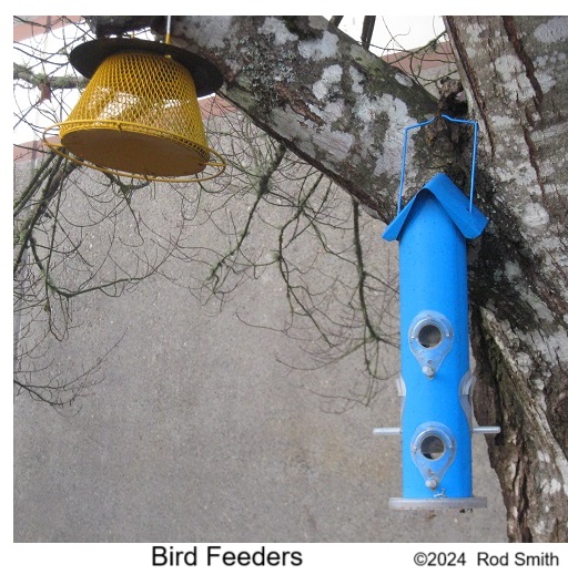 Bird Feeders