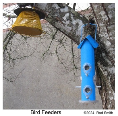 Bird Feeders