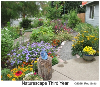 Naturescape 3rd year
