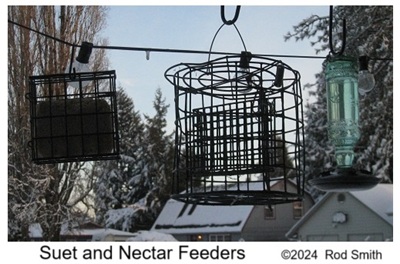 Suet/Hummingbird feeders