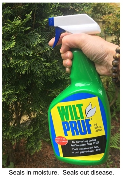 Wilt-Pruf
